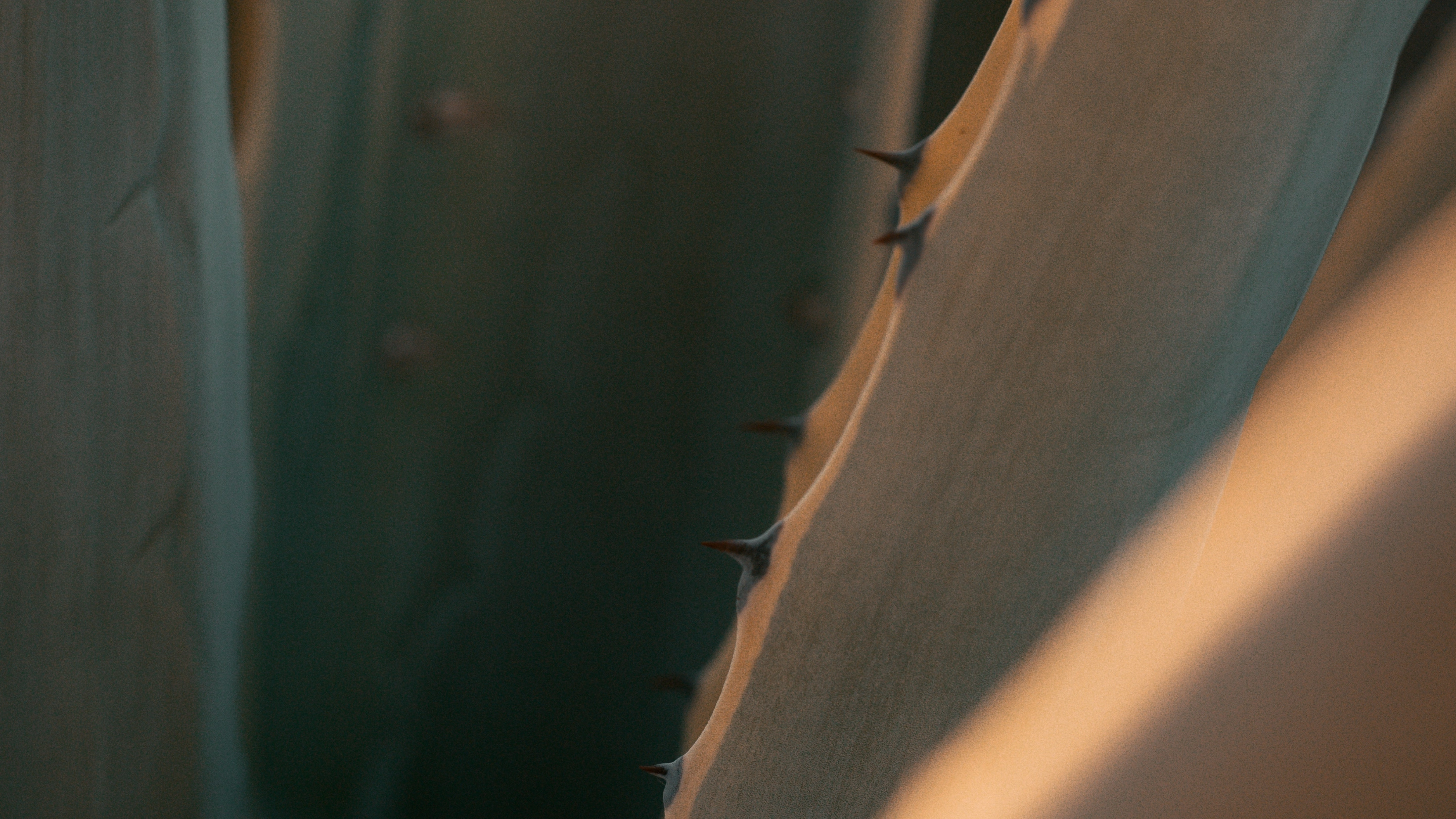 Moteado Mezcal bottle tablet